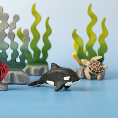 Baby Orca in an underwater-themed setup with sea turtle and plants