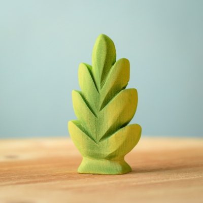 Thuja Shrub