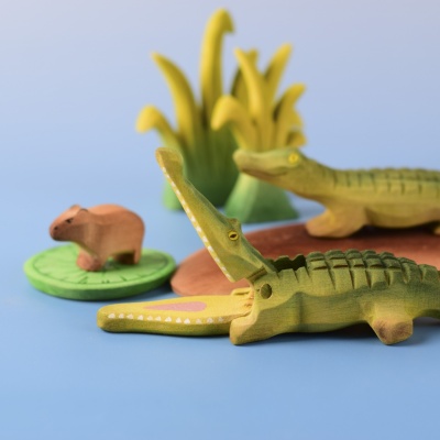 Baby Crocodile next to adult crocodile and lily pads.
