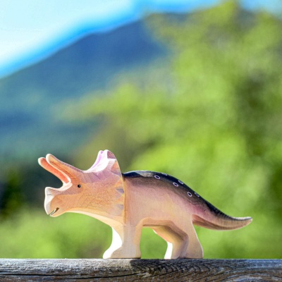 Wooden Triceratops toy in outdoor setting
