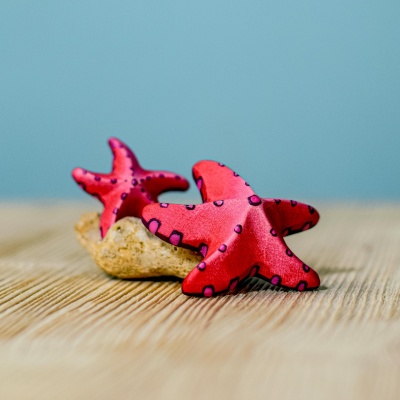 Child engaging with the vibrant Red Starfish Set for marine-themed play