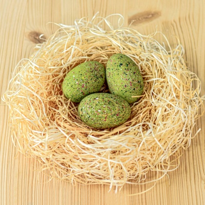 T-Rex Eggs SET