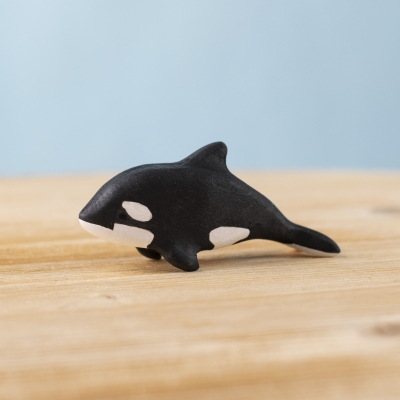 Baby Orca