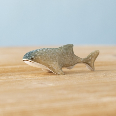 Baby Whale Shark