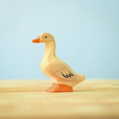 Domestic Duck