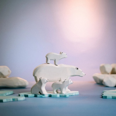 The Polar Bear displayed on a shelf in a child's room, beside books about polar bears or the Arctic.