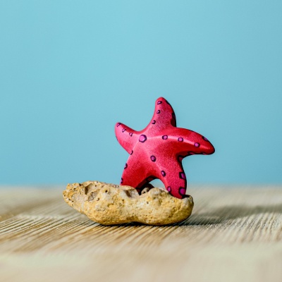 Close-up of the eco-friendly Red Starfish Set, highlighting detailed craftsmanship
