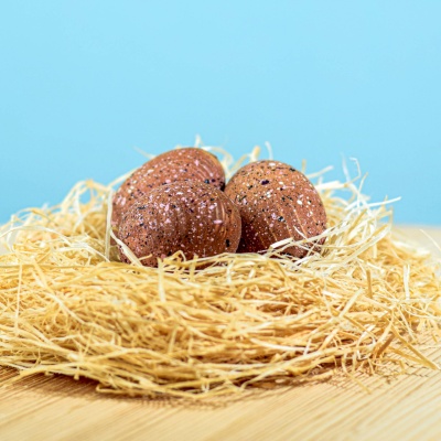 Handcrafted wooden Triceratops eggs in a nest