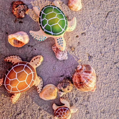 Sustainable play with BumbuToys' Turtle Brown, an eco-educational toy