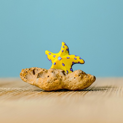 Eco-friendly wooden starfish duo, painted with non-toxic colors for safe play