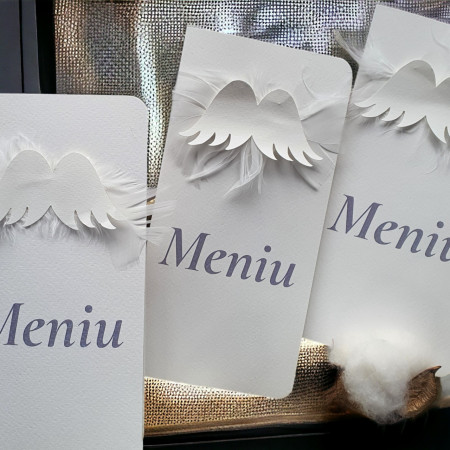 Meniu tip carte cu aplicatii de aripi si pene