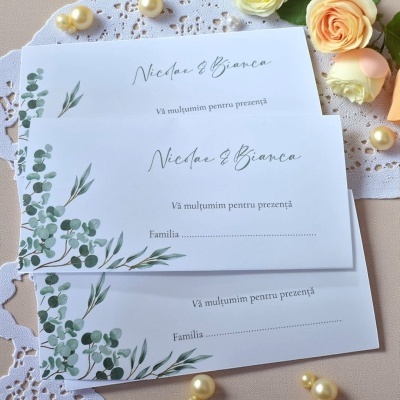 Plic de dar cu accente verzi