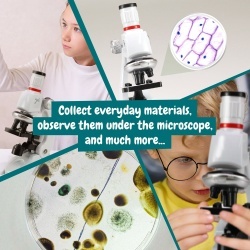 MICROSCOPE. Joc educativ pentru copii - Img 6