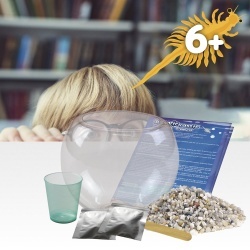 Jurassic Pets Kit I. Joc educațional pentru copii - Img 5