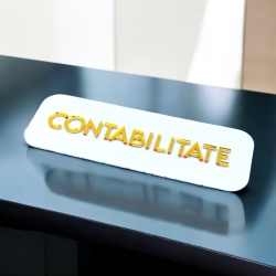 Tăblițe Personalizate din Plexiglas – Semnalizare Modernă pentru Birouri și Spații Comerciale - Img 4