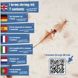 Jurassic Pets Kit I. Joc educațional pentru copii - Img 6