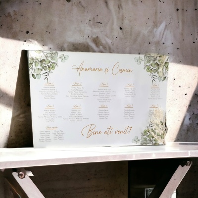 Opis Anamaria & Cosmin