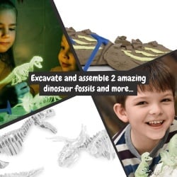 2 in 1 Fossil Excavation Kit I. Joc educațional pentru copii - Img 4