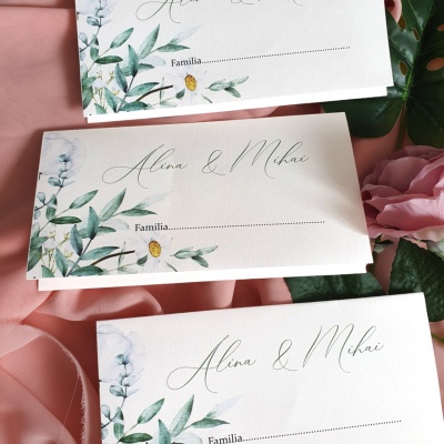Plic Alina & Mihai
