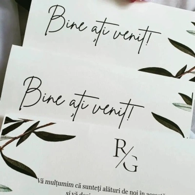 Plic de bani frunze de măslin
