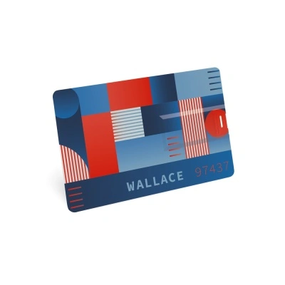 WALLACE 8GB - Img 3