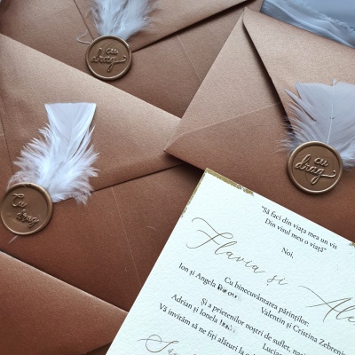 Invitatie de nunta cu plic cupru si pana