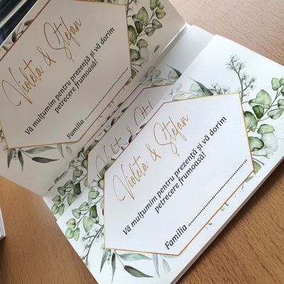 Plic de dar eucalipt