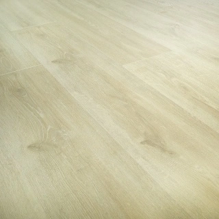 Laminat Evolution Oak Yvory 14mm