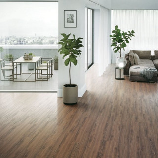 Rigid Oak Calypso 3