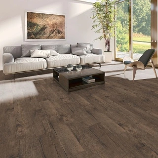 LVT Dance Fox1