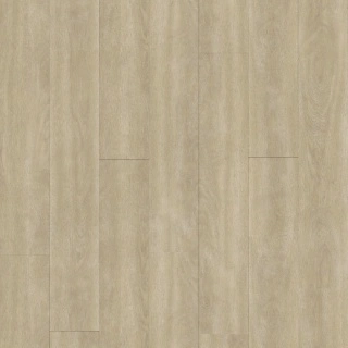 cumin 80040 b