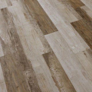 oak mossele 2