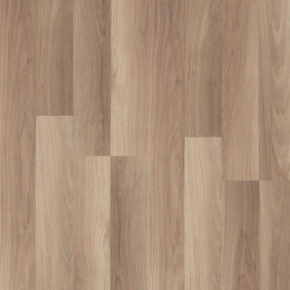 Laminat Oak Elegance C 8mm