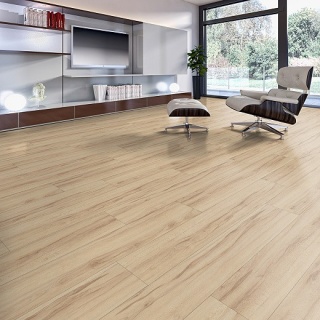 LVT Jam 31/23 AC5