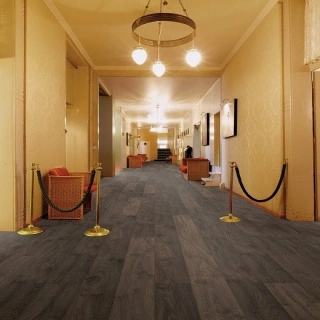 Oak terra1