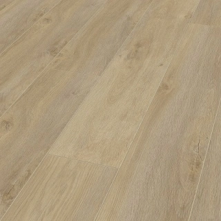 Laminat Premium Oak 12mm