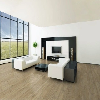 Golden Oak 2