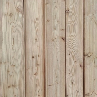 lambriu exterior clasic larice cehia