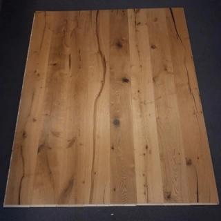 ganges oak