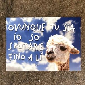 Cartolina "Ovunque tu sia io so sputare fino a lì" - Img 1