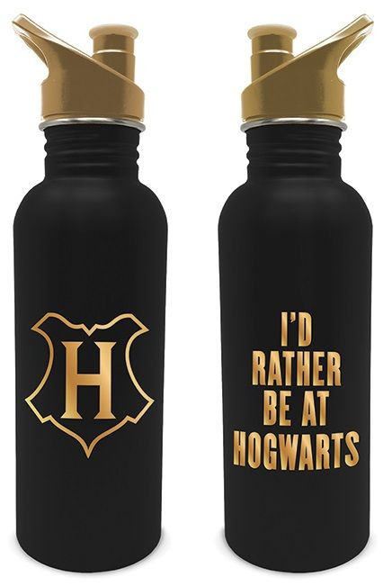 Sticla pentru apa Pyramid Movies: Harry Potter, Metal, 750 ml, Negru