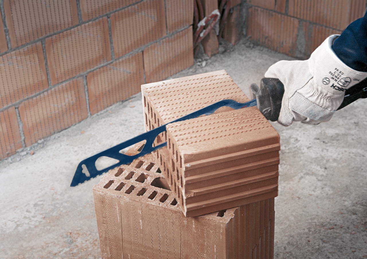Bosch Panza fierastrau sabie S 1243 HM Caramida, 50x300mm - 2 | YEO