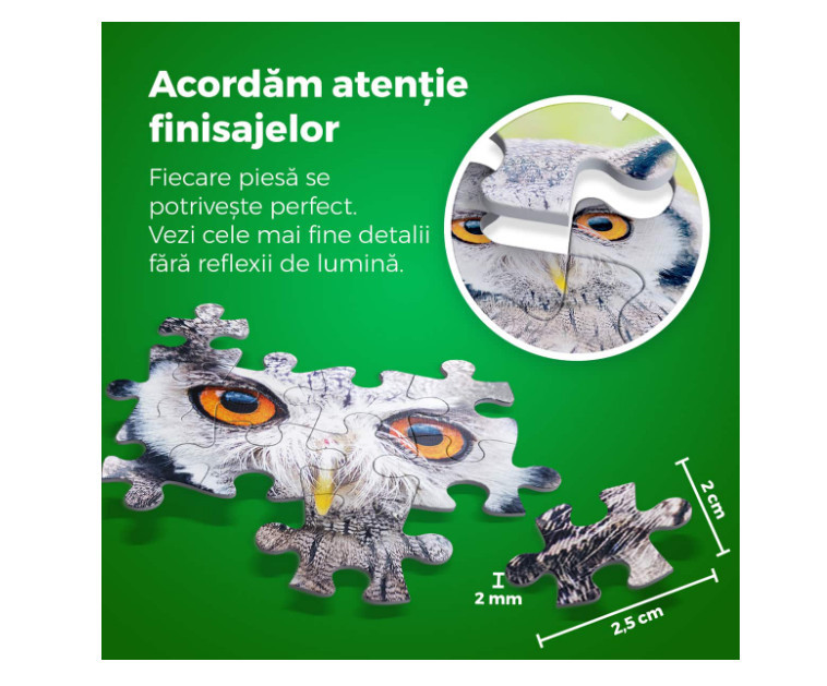 Puzzle D-Toys Animal Puzzle Owl 1000 piese