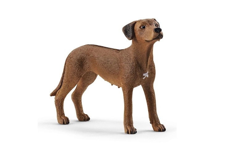 Pachet Figurine Schleich, Catelusi 2 - 2 | YEO