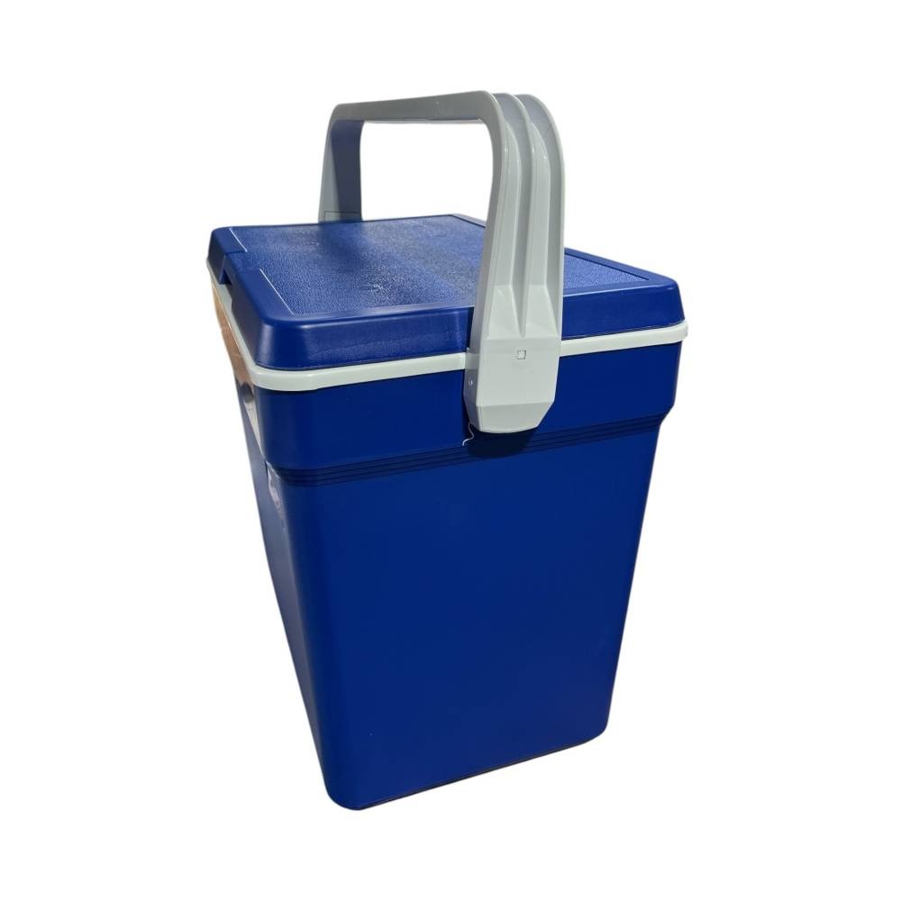 Lada frigorifica 40 Litri Blue - 2 | YEO