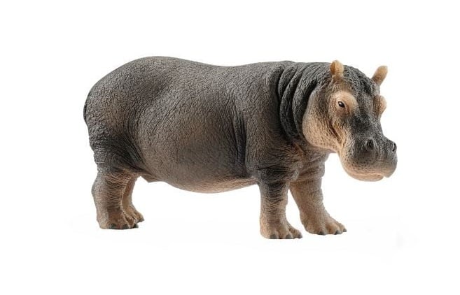 Pachet Figurine Schleich, Viata in Africa