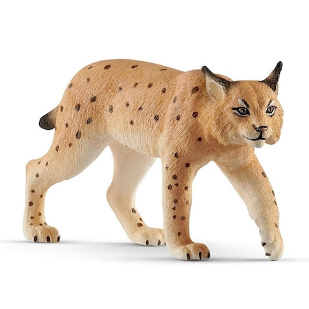 Figurina Schleich, Wild Life, Ras