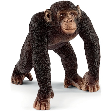 Figurina Schleich, Wild Life, Cimpanzeu, mascul
