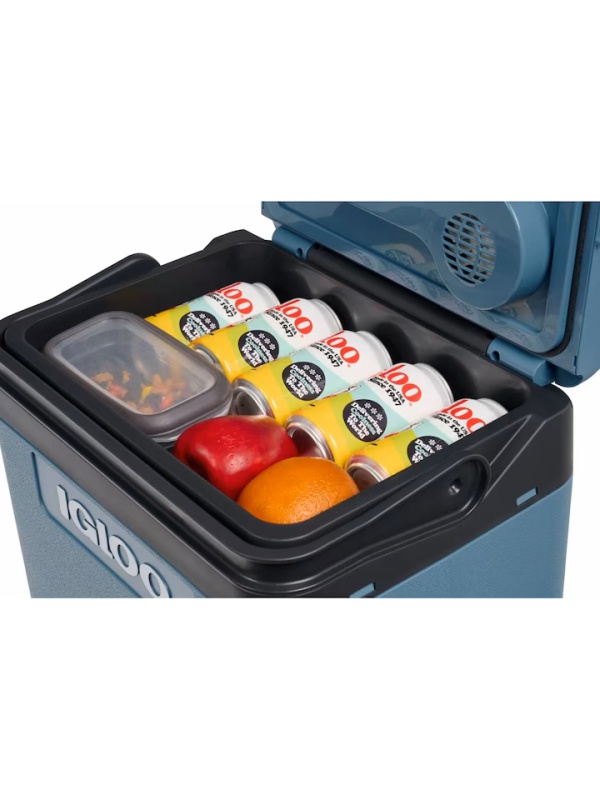 Igloo IE24 — interior cu doze racite, fructe si recipient alimente