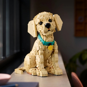 LEGO® Icons - Catelus Golden Retriever 11384, 2102 piese - Img 8